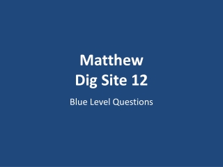 Matthew Dig Site 12