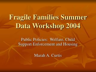 Fragile Families Summer Data Workshop 2004
