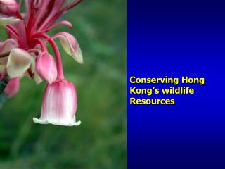 Conserving Hong Kong’s wildlife Resources