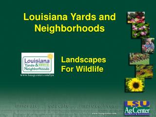 Louisiana Yards and Neighborhoods