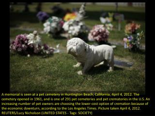 Beloved pets find final resting place