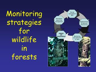 Monitoring strategies for wildlife in forests