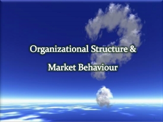 Organizational Structure & Market Behaviour