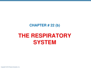 THE RESPIRATORY SYSTEM