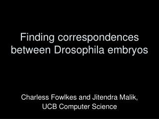 Finding correspondences between Drosophila embryos