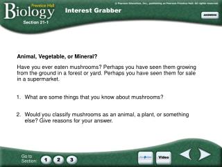 Animal, Vegetable, or Mineral?