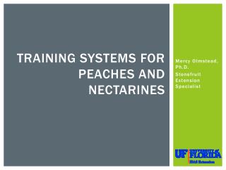 Training Systems for Peaches and Nectarines
