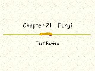 Chapter 21 – Fungi