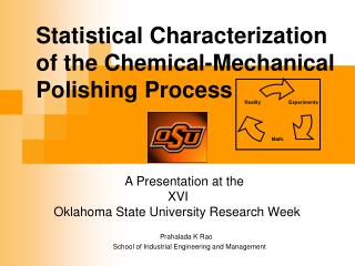 Statistical Characterization of the Chemical-Mechanical Polishing Process