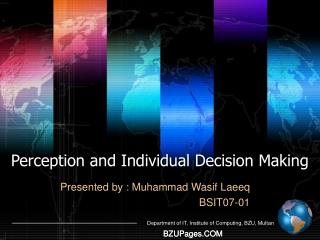 Perception and Individual Decision Making