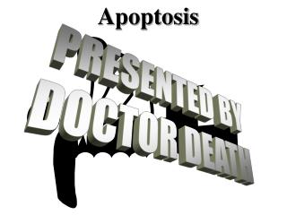 PPT Apoptosis PowerPoint Presentation Free Download ID 3429620