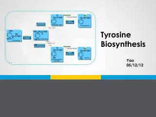 Tyrosine Biosynthesis