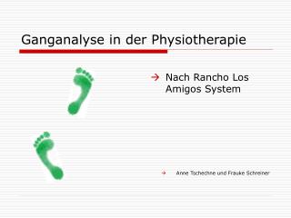 PPT - Ganganalyse In Der Physiotherapie PowerPoint Presentation, Free ...