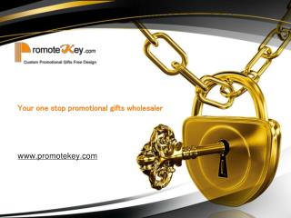 Promotekey.com Distributor for Promotional Items