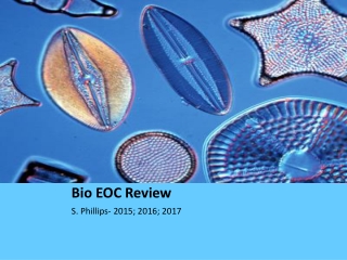 Bio EOC Review