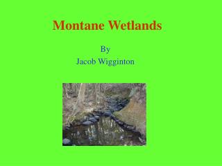 Montane Wetlands