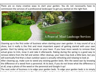 Peace of Mind Landscape