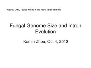 Fungal Genome Size and Intron Evolution