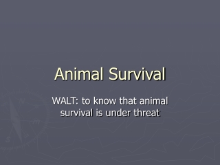 Animal Survival