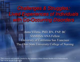 Challenges & Struggles : Lived Experiences of Individuals with Co-Occurring Disorders