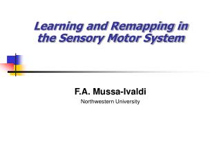 Learning and Remapping in the Sensory Motor System