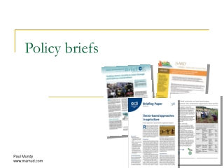 Policy briefs