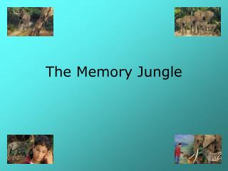 The Memory Jungle