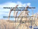 TRITICALE UN CULTIVO ALTERNATIVO PARA ZONAS ARIDAS