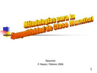 Resumen P. Reyes / Febrero 2006