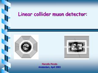 Linear collider muon detector: