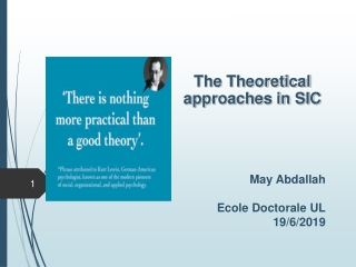 The Theoretical approaches in SIC