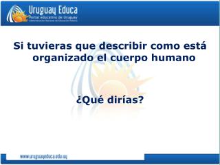 Si tuvieras que describir como está organizado el cuerpo humano ¿Qué dirías?