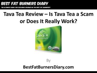 Tava Tea Review