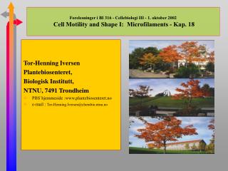 Forelesninger i BI 316 - Cellebiologi III - 1. oktober 2002 Cell Motility and Shape I: Microfilaments - Kap. 18