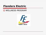 Flanders Electric