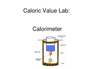 Caloric Value Lab: