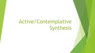 Active/Contemplative Synthesis