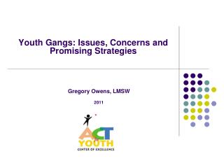 Youth Gangs: Issues, Concerns and Promising Strategies