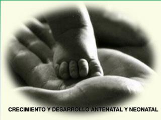 CRECIMIENTO Y DESARROLLO ANTENATAL Y NEONATAL