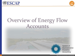 Overview of Energy Flow Accounts