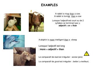 A rabbit is nic er than a cow. A rabbit is funn ier than a cow Lorsque l’adjectif est court ou de 2 syllabes se termin