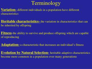 PPT - Terminology PowerPoint Presentation, free download - ID:3495871