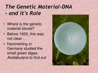 The Genetic Material-DNA - and it’s Role