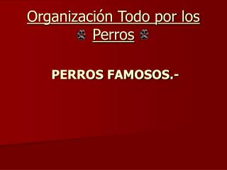 Organización Todo por los Perros