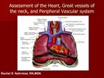 Assessment of the Heart, Great vessels of the neck, and Peripheral Vascular system