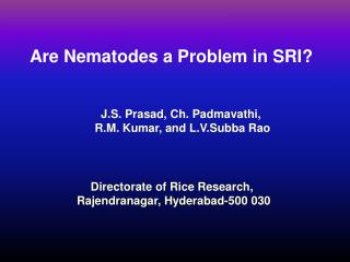 Are Nematodes a Problem in SRI?