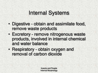 Internal Systems