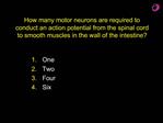 How many motor neurons are required to conduct an action potential from the spinal cord to smooth muscles in the wall of