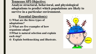 Essential Question(s) 1) What are the three types of adaptations?