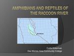 Amphibians and Reptiles of the Raccoon River